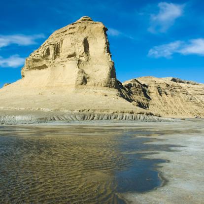 A Découvrir en Argentine - La Péninsule Valdés