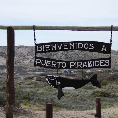 A Découvrir en Argentine - La Péninsule Valdés