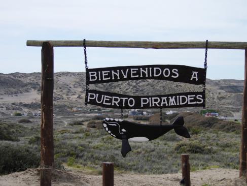 A Découvrir en Argentine - La Péninsule Valdés