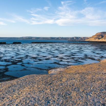 A Découvrir en Argentine - La Péninsule Valdés