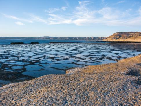A Découvrir en Argentine - La Péninsule Valdés
