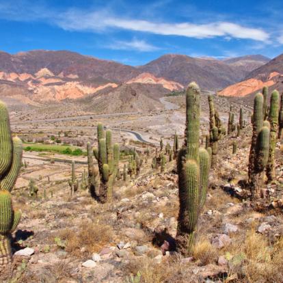 A Découvrir en Argentine - Quebrada de Humahua