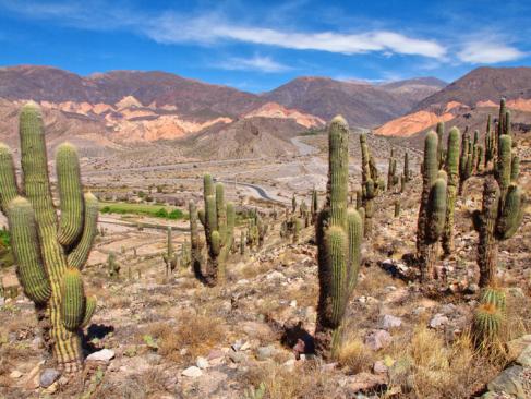 A Découvrir en Argentine - Quebrada de Humahua