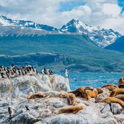 A Découvrir en Argentine - Ushuaia
