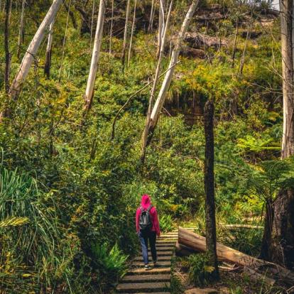A Découvrir en Australie - Les Blue Mountains