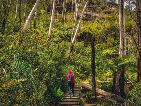 A Découvrir en Australie - Les Blue Mountains
