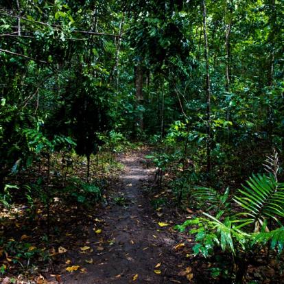 A Découvrir en Australie - Cairns