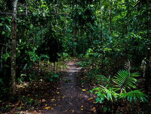A Découvrir en Australie - Cairns