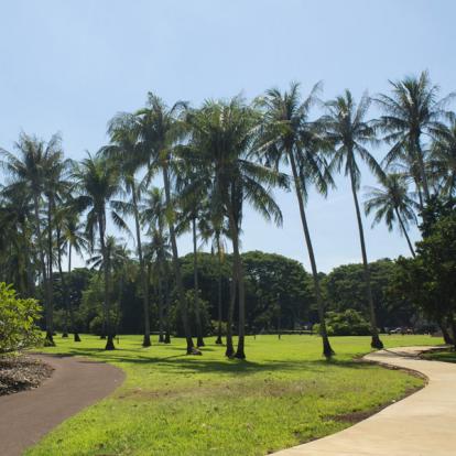 A Découvrir en Australie  - Darwin