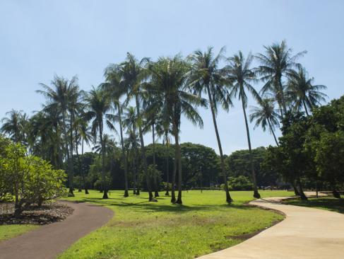 A Découvrir en Australie  - Darwin