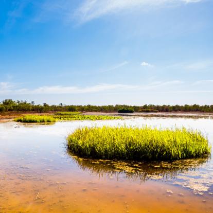 A Découvrir en Australie  - Darwin
