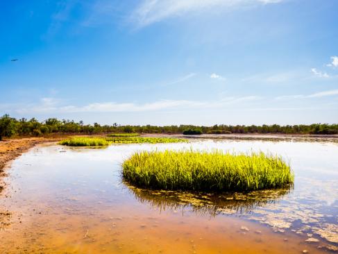 A Découvrir en Australie  - Darwin