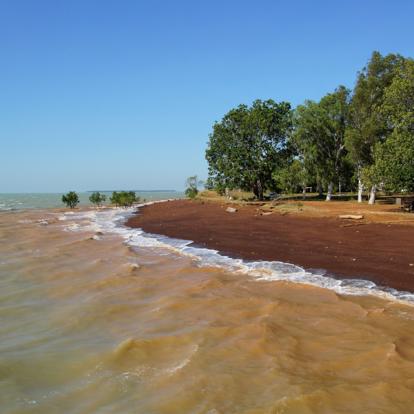 A Découvrir en Australie  - Darwin