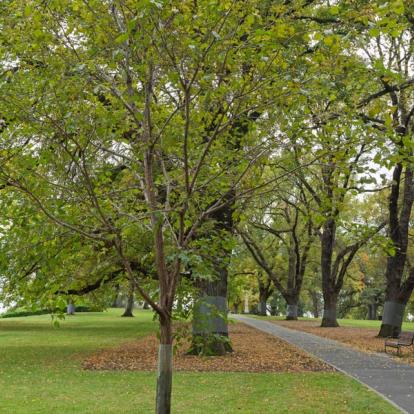 A Découvrir en Australie - Melbourne