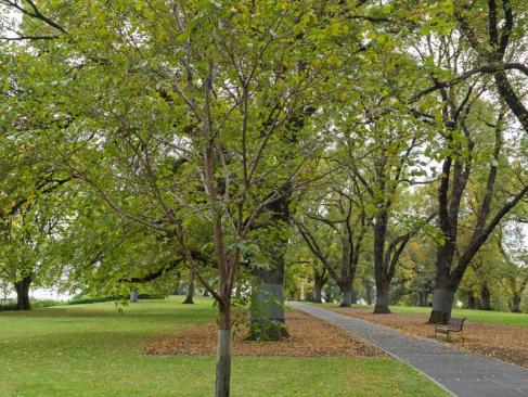 A Découvrir en Australie - Melbourne