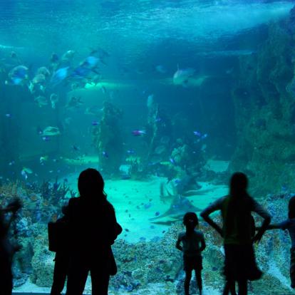 A Découvrir en Australie - Sydney