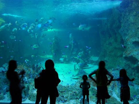 A Découvrir en Australie - Sydney
