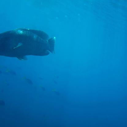A découvrir en Australie - Whitsunday Islands