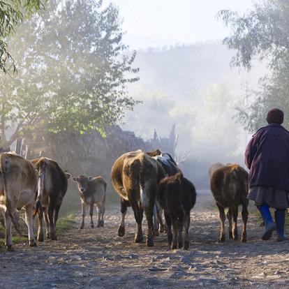 Village D'Ura, Vallée D'Ura, Bumthang A Découvrir au Bhoutan - Bumthang