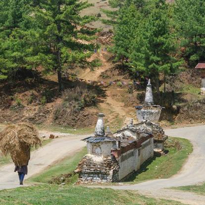 Vallée De Phobjikha - Mur De Prière Traditionnel Avec Chorten Et Homme Portant De La Paille A Découvrir au Bhoutan - La Vallée de Phobjikha