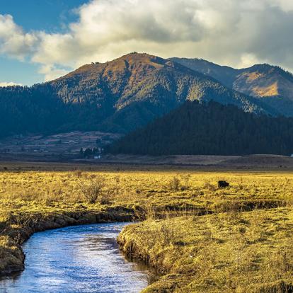 Vallée De Phobjikha A Découvrir au Bhoutan - La Vallée de Phobjikha