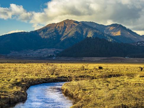 Vallée De Phobjikha A Découvrir au Bhoutan - La Vallée de Phobjikha
