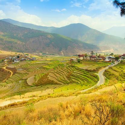 A Découvrir au Bhoutan - La Vallée de Punakha