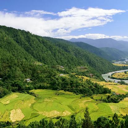 A Découvrir au Bhoutan - La Vallée de Punakha