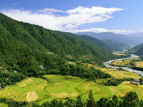 A Découvrir au Bhoutan - La Vallée de Punakha