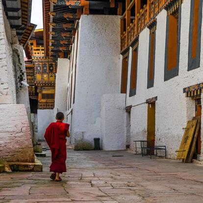 A Découvrir au Bhoutan - La Vallée de Punakha