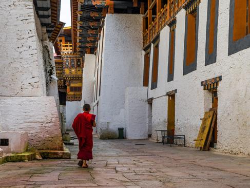 A Découvrir au Bhoutan - La Vallée de Punakha
