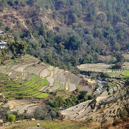 A Découvrir au Bhoutan - La Vallée de Wangdiphodrang