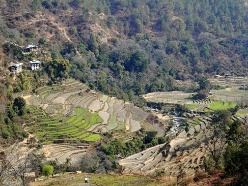 A Découvrir au Bhoutan - La Vallée de Wangdiphodrang