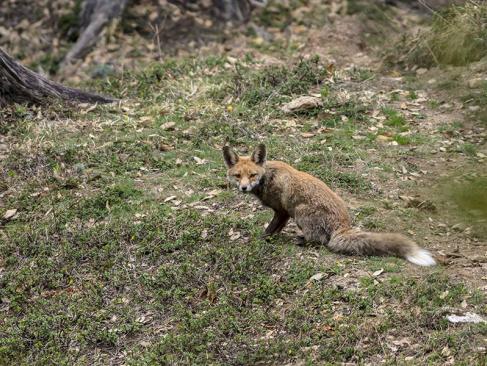A Découvrir au Bhoutan - Le Sakteng Wildlife Sanctuary