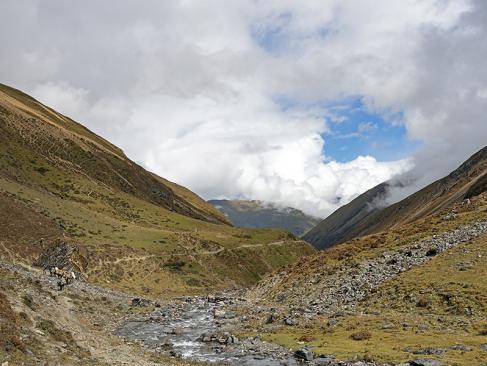A Découvrir au Bhoutan - Le Trek de Laya