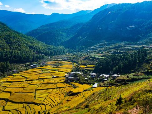 A Découvrir au Bhoutan - Paro