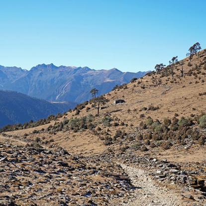 Merak - Sakteng Track A Découvrir au Bhoutan - Sakteng