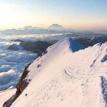 A Découvrir en Bolivie - La Cordillère Royale