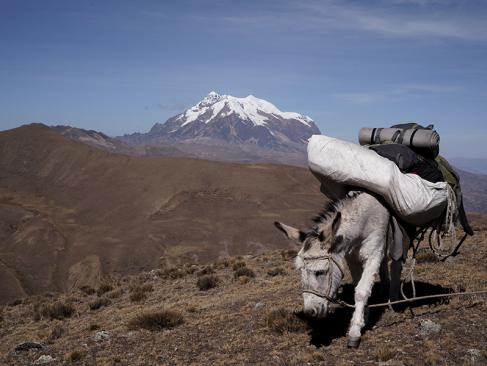 A Découvrir en Bolivie - La Cordillère Royale