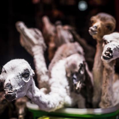La Paz - Mercado De Las Brujas A Découvrir en Bolivie - La Paz
