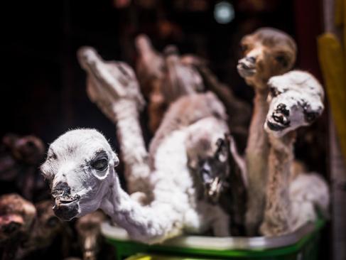 La Paz - Mercado De Las Brujas A Découvrir en Bolivie - La Paz