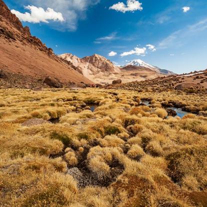 A Découvrir en Bolivie - Le Parc de Sajama