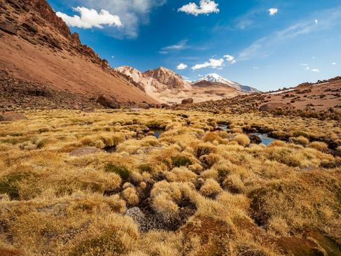 A Découvrir en Bolivie - Le Parc de Sajama