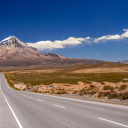 A Découvrir en Bolivie - Le Parc de Sajama