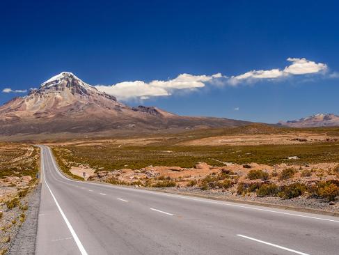 A Découvrir en Bolivie - Le Parc de Sajama