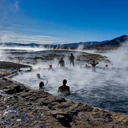 A Découvrir en Bolivie - Le Parc de Sajama