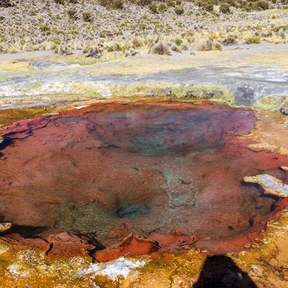 A Découvrir en Bolivie - Le Parc de Sajama