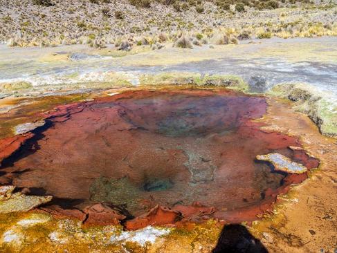 A Découvrir en Bolivie - Le Parc de Sajama