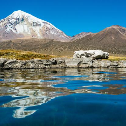 A Découvrir en Bolivie - Le Parc de Sajama