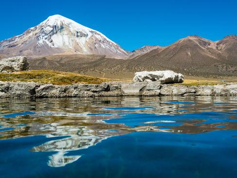 A Découvrir en Bolivie - Le Parc de Sajama